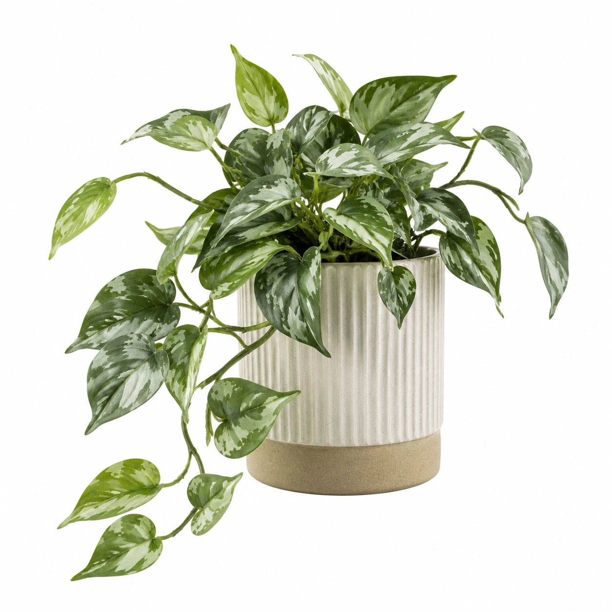 Pianta artificiale ricadente in vaso 48 cm verde e argento - foglie variegate per interni