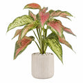 Pianta verde artificiale in vaso 70 cm foglie rosa e verdi per interni
