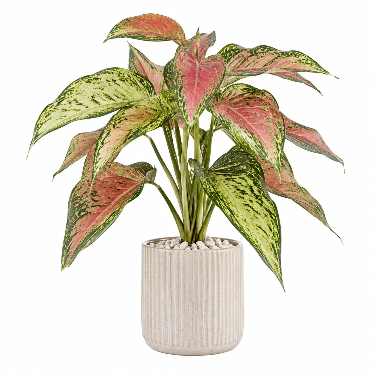 Pianta verde artificiale in vaso 70 cm foglie rosa e verdi per interni