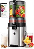 Estrattori succo albero singolo masticatori, AMZCHEF, 158 mm, 2.5 L, Nero