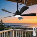 DTSDWA, Ventilatori da soffitto con lampada, 106 cm, 10 cm, 20 cm, Nero, illuminazione LED, telecomando, timer